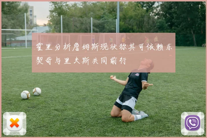 霍里分析詹姆斯现状称其可依赖东契奇与里夫斯共同前行